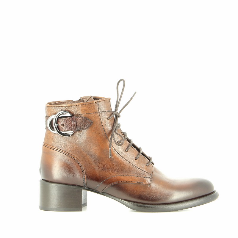 s1282e-cognac