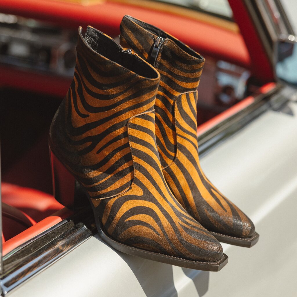 s1568f-zebre