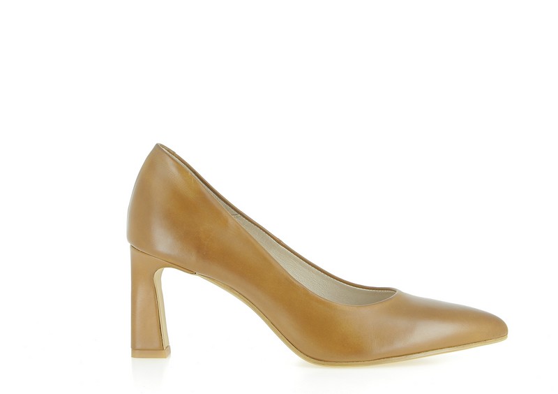 s1694b-camel